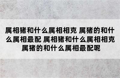 属相猪和什么属相相克 属猪的和什么属相最配 属相猪和什么属相相克 属猪的和什么属相最配呢